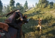 Как отключить сообщения об обнаружении геймпада/мыши в The Witcher 3