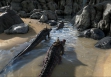 Ark: Survival Evolved: загрузка не заканчивается – как исправить