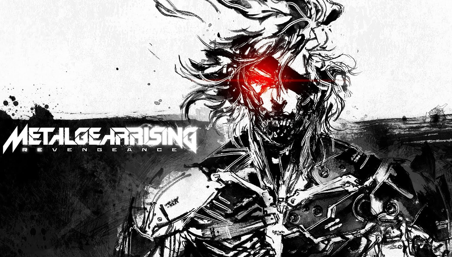 METAL GEAR RISING REVENGEANCE