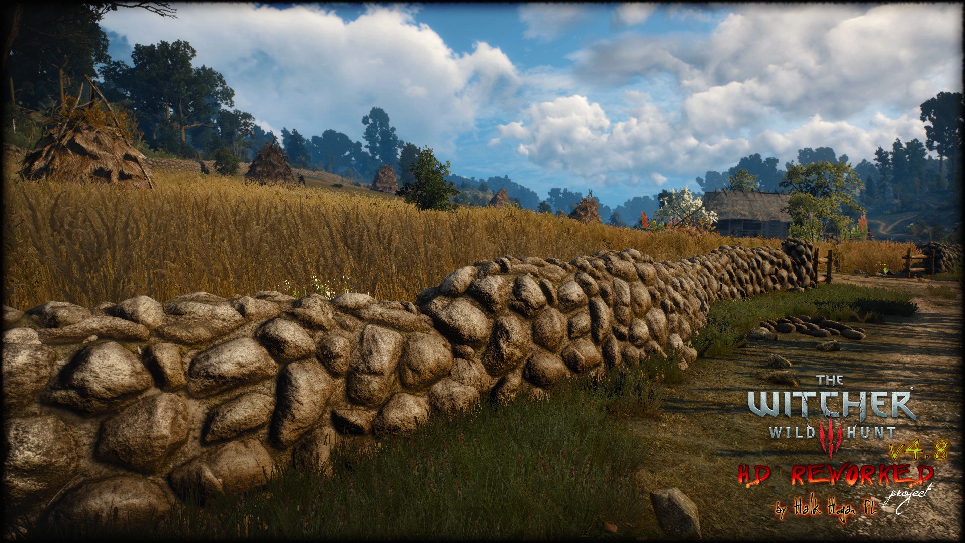 Hd mod the witcher 3 hd reworked project фото 8