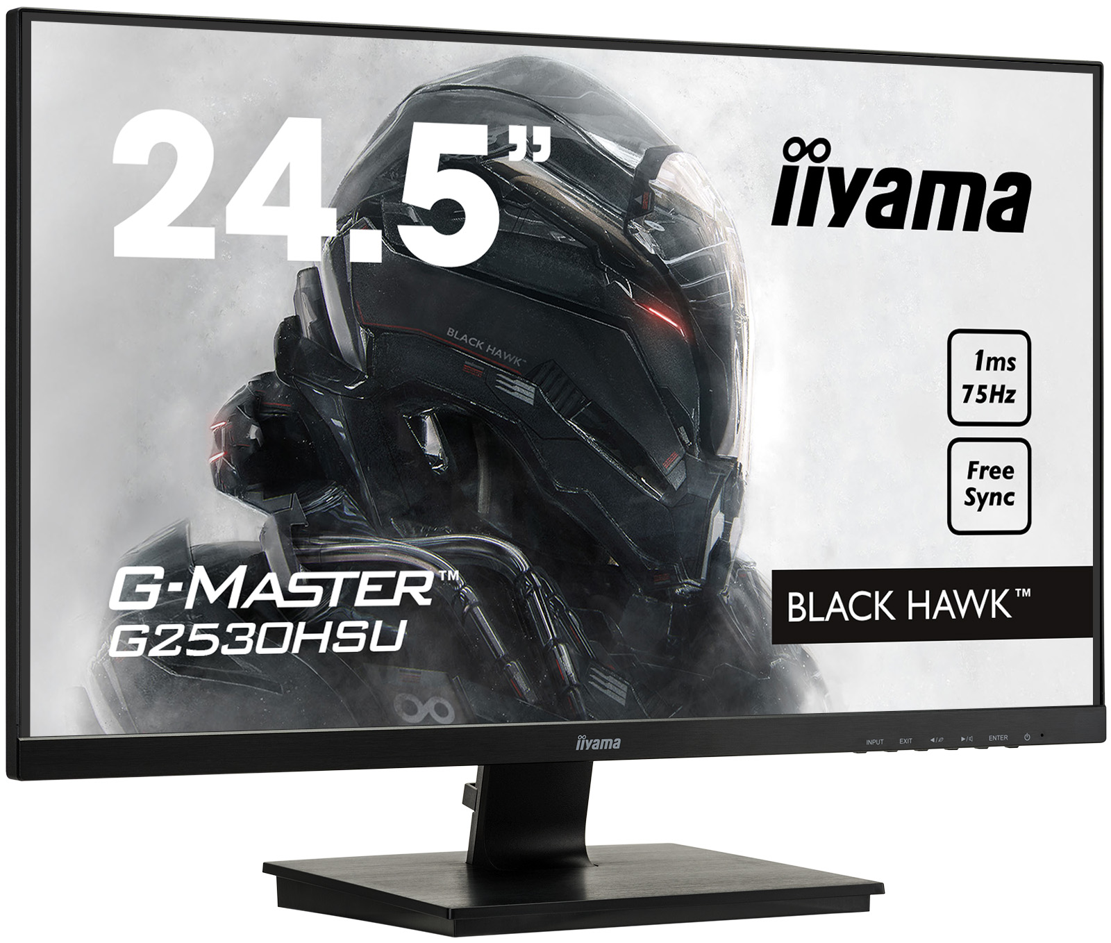 Iiyama G-Master G2530HSU-1 24.5 Iiyama G-Master G2530HSU-1 24.5