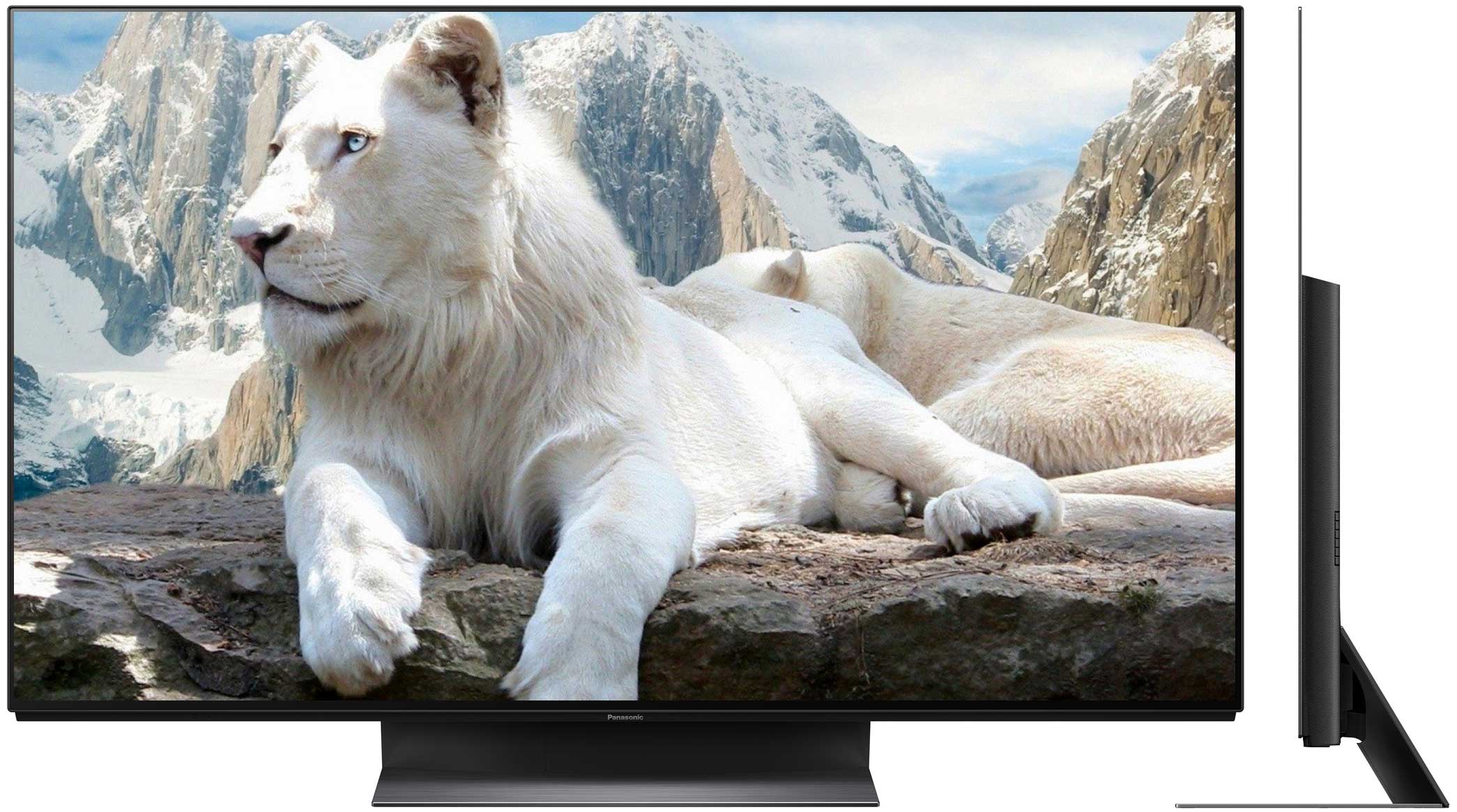 Panasonic TX-65GZR1000 Panasonic TX-65GZR1000