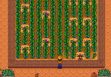 Как выращивать древние плоды в Stardew Valley?