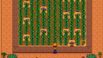 Как выращивать древние плоды в Stardew Valley?