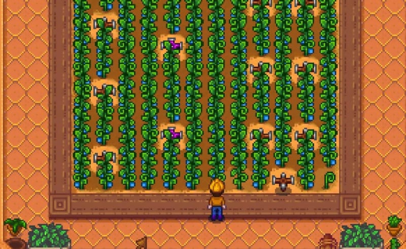How to Grow Ancient Fruit in Stardew Valley?