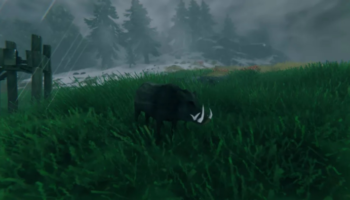 Как приручить кабанов и волков в Valheim