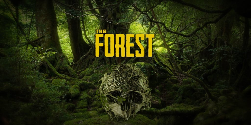The forest