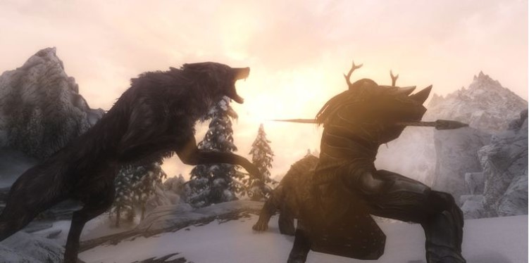 Skyrim в чем смысл игры