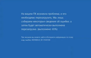 Reference By Pointer в Windows 10
