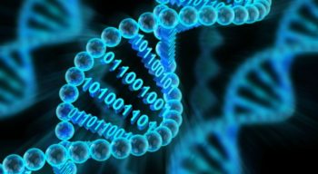 Технология хранения данных в ДНК