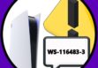 ошибка WS-116483-3 на PS5