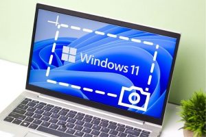 Как сделать скриншот в Windows 11