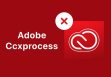 CCXProcess